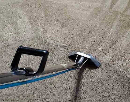 Port Melbourne carpet cleaning experts: effectively restoring freshness by removing dirt, allergens, and other contaminants from carpets